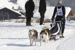 Lenk 2012 SM